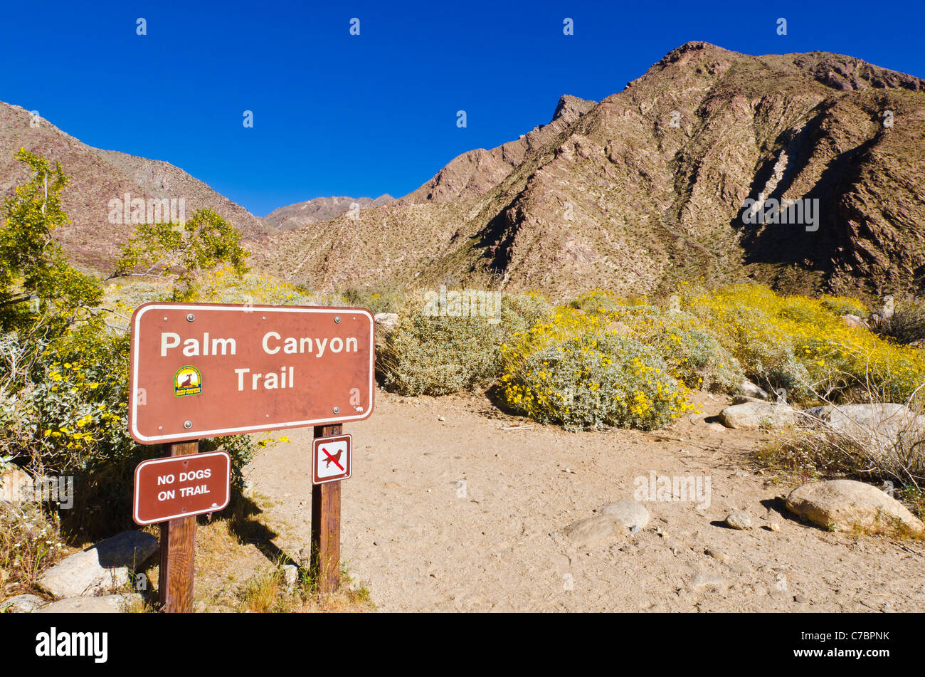 Trail Zeichen, Borrego Palm Canyon, Anza-Borrego Desert State Park, Kalifornien USA Stockfoto