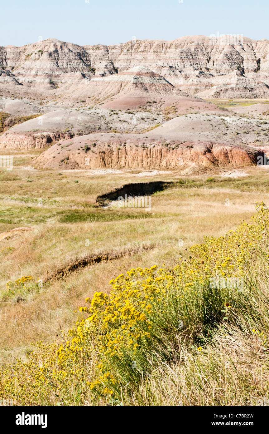 Wildblumen werden im Vordergrund angezeigt, wie geformte Formationen über Prairie Grasland in Badlands Nationalpark zu erheben. Stockfoto