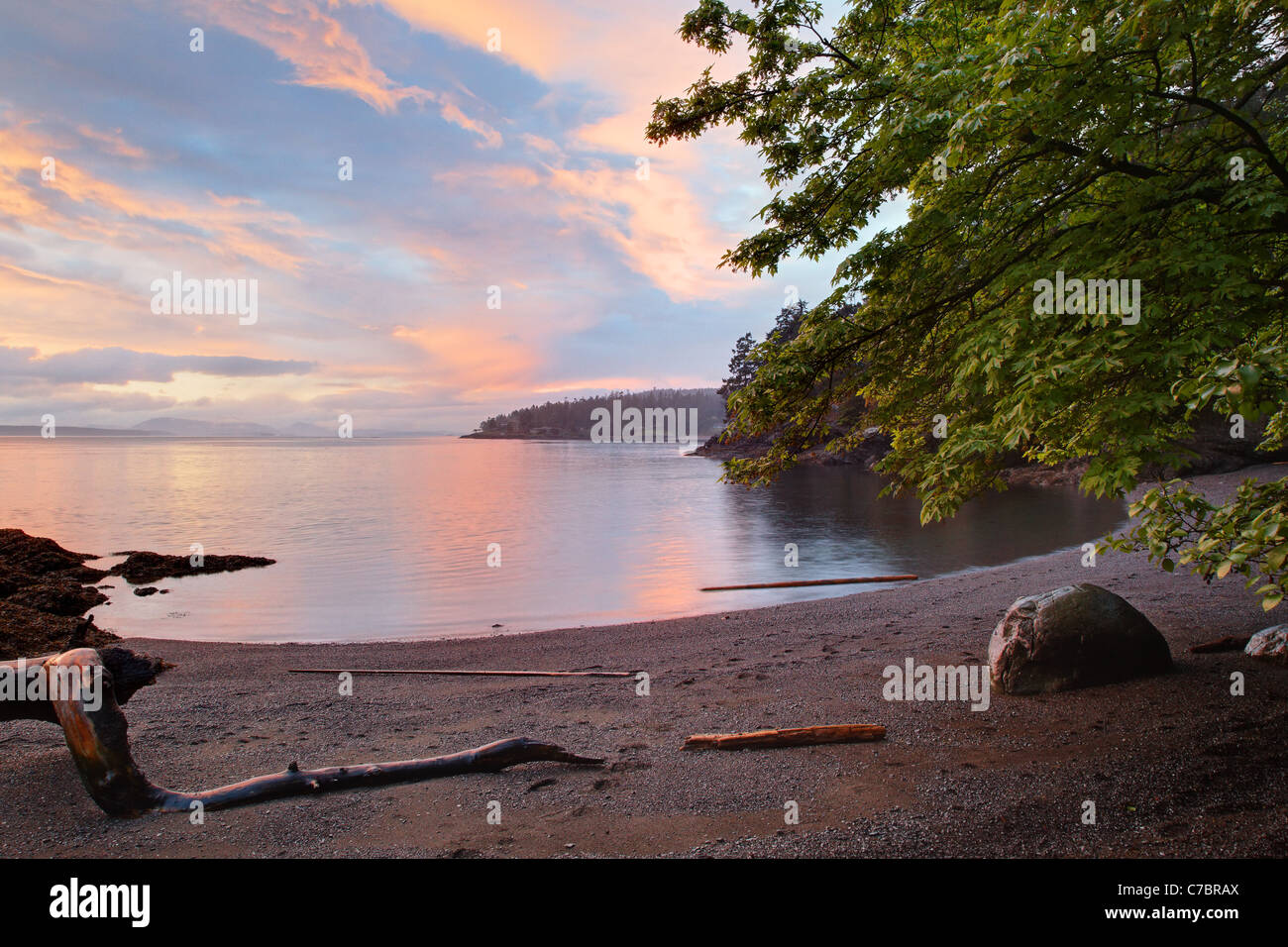 San Juan County Park, San Juan Island, Washington, USA Stockfoto
