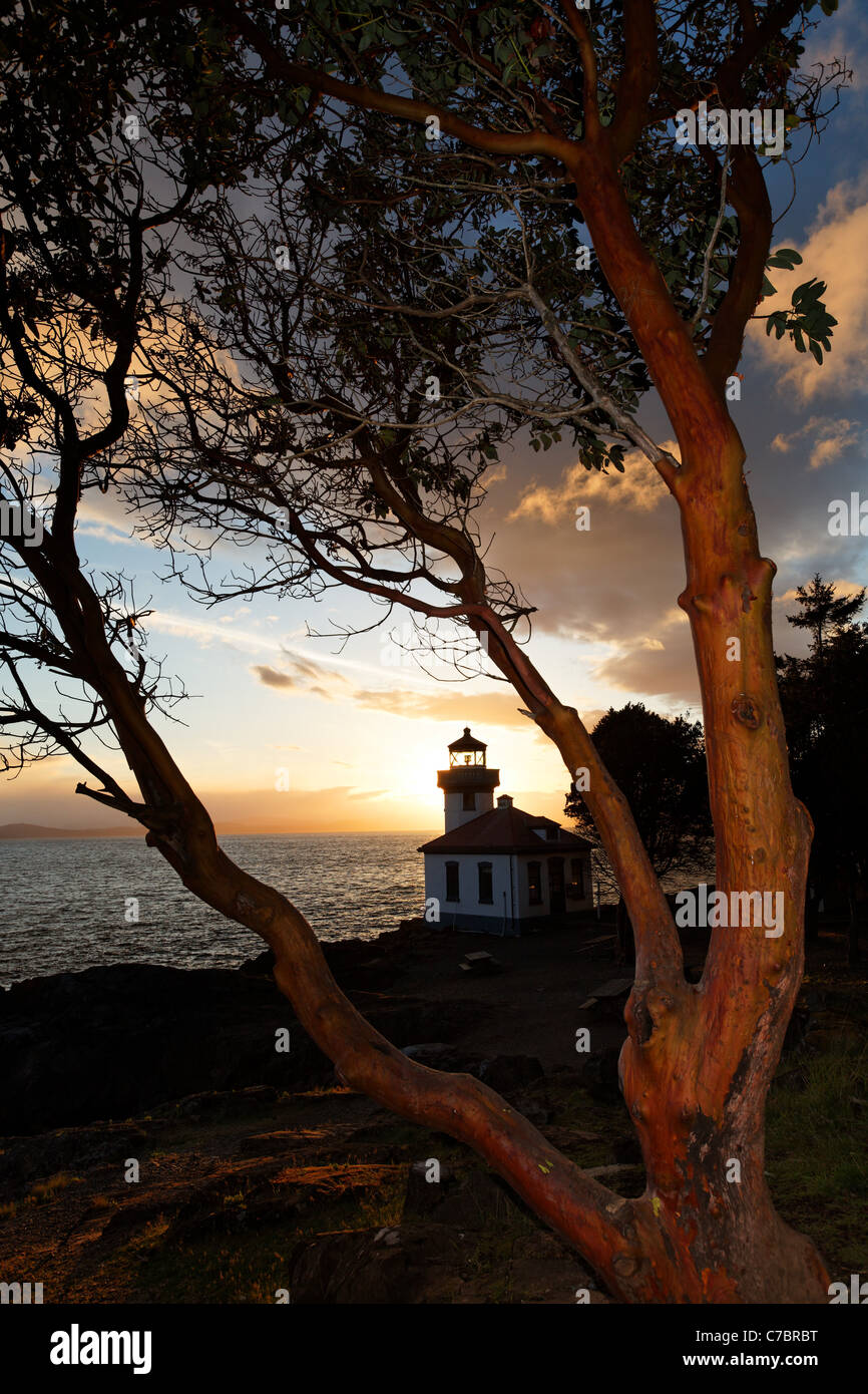 Lime Kiln Point Lighthouse umrahmt von Pacific Madrone, Lime Kiln Point State Park, San Juan Island, Washington, USA Stockfoto