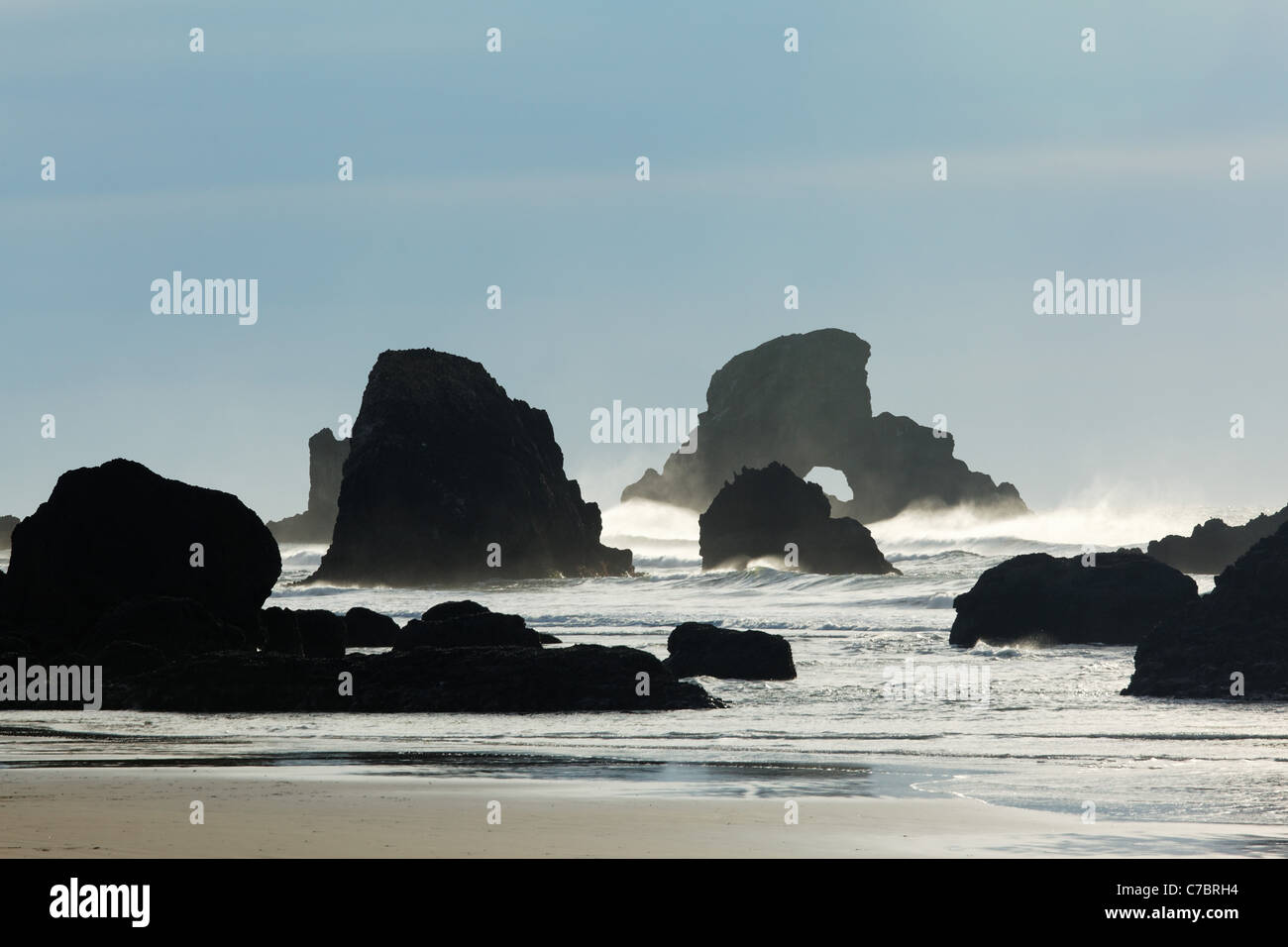 Meer-Stacks auf der Küste von Oregon, Ecola State Park, Oregon, USA Stockfoto