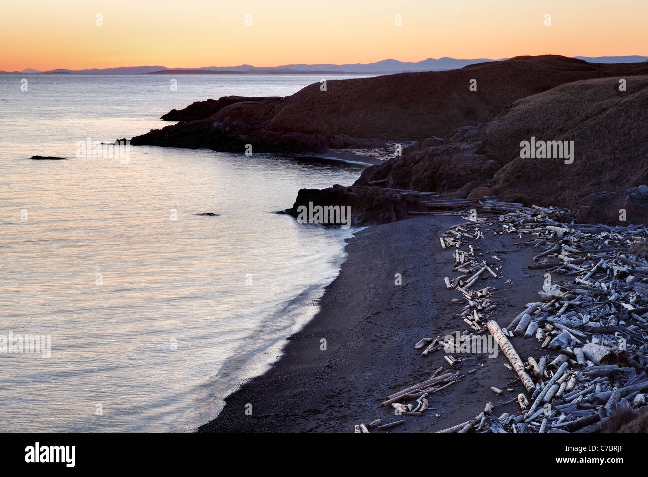 Treibholz übersäten Strand, Omas Bucht, San Juan County, Washington, San Juan Island National Historical Park, American Camp Stockfoto