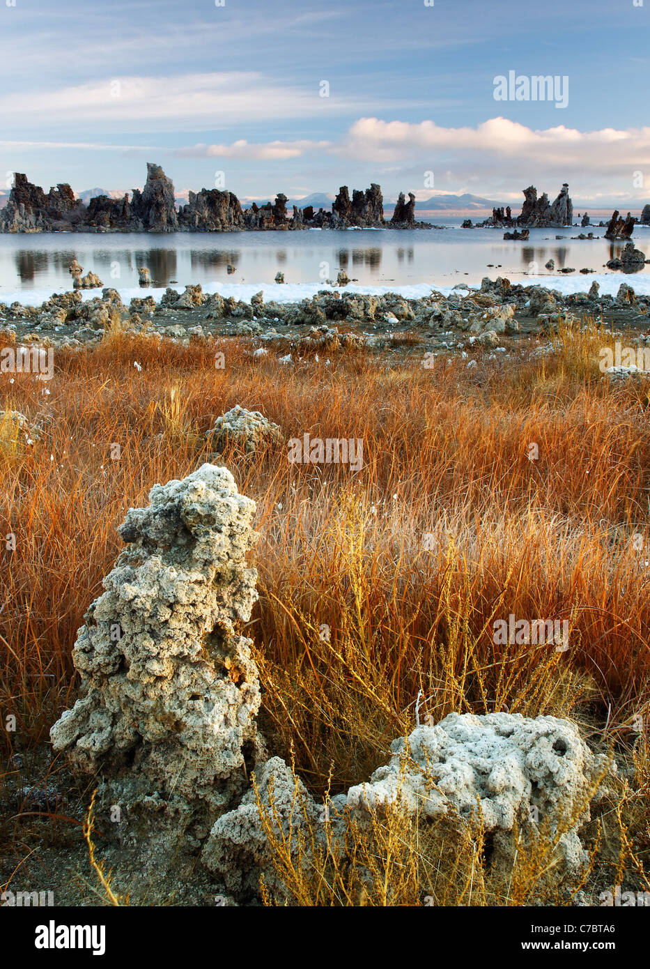 Tufta Felsformationen am Rande des Mono Lake, South Tufta, östlichen Sierras, Mono Basin National Forest Scenic Area, Kalifornien Stockfoto