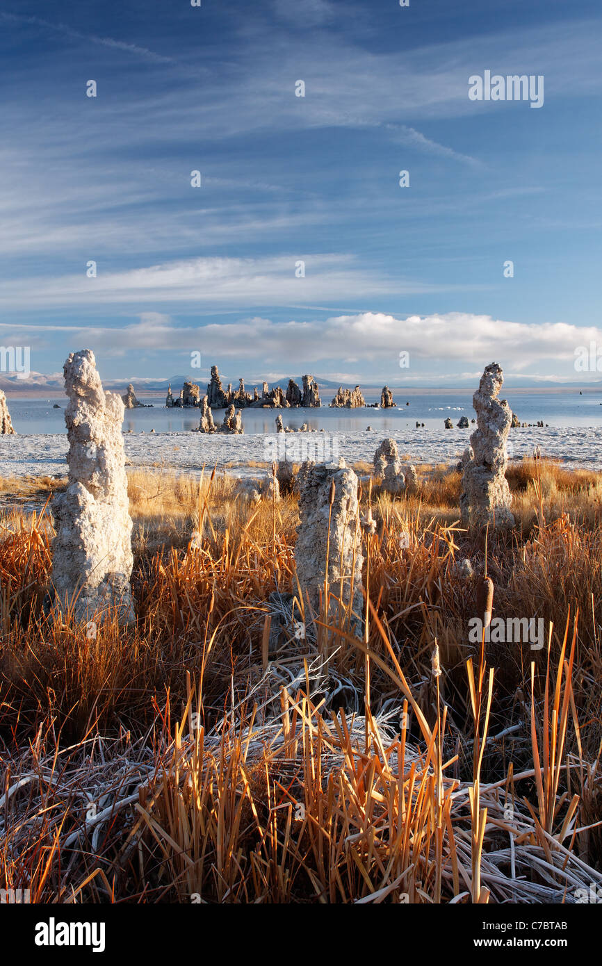 Tufta Felsformationen am Rande des Mono Lake, South Tufta, östlichen Sierras, Mono Basin National Forest Scenic Area, Kalifornien Stockfoto
