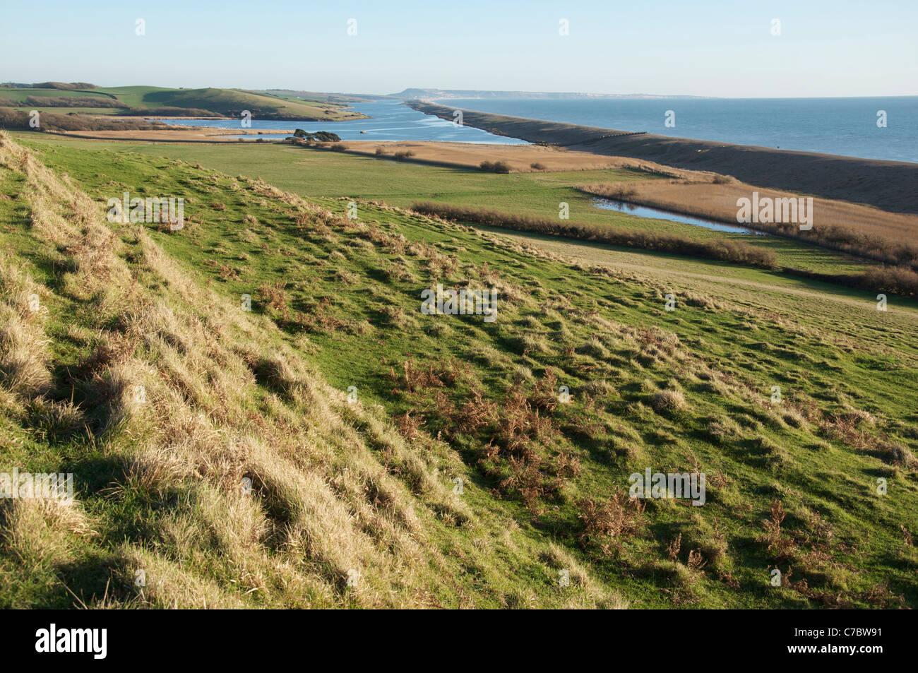 Ein Blick auf die Küste von Dorset aus einer abfallenden Hang Weide, mit Blick auf Chesil Beach und West-Flotte. Die Jurassic Coast, Süd-England, UK. Stockfoto