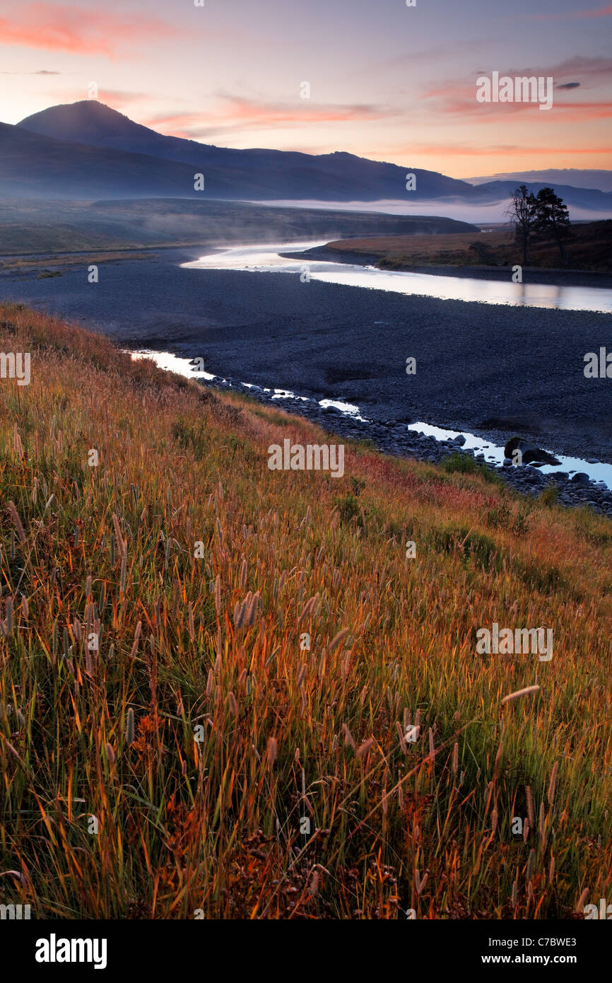Grasige Ufer des Flusses Lamar läuft durch Lamar Valley Herbst morgens, Yellowstone-Nationalpark, Wyoming, USA Stockfoto