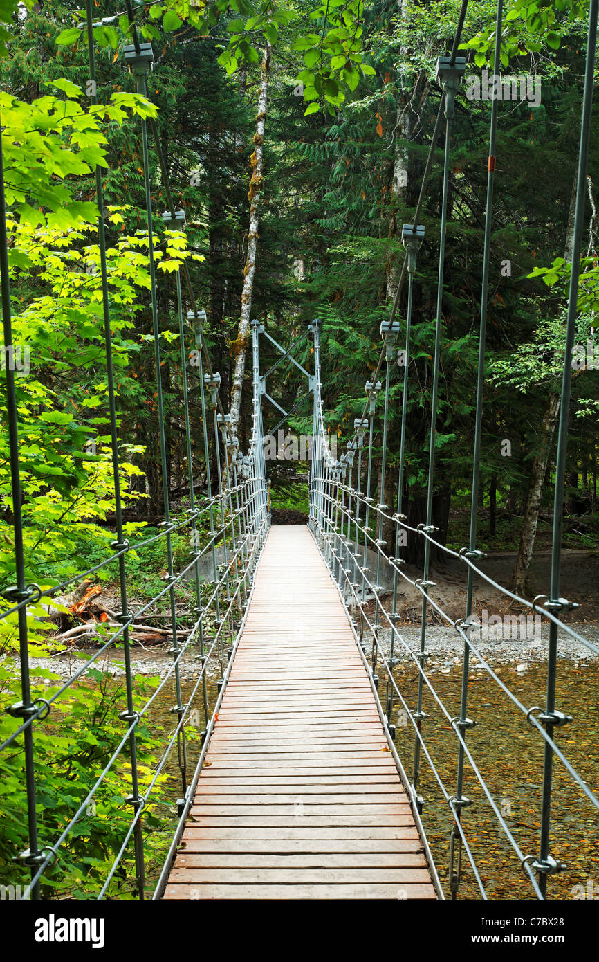 Hängebrücke über den Ohanapecosh River, Grove des Patriarchen Trail, Mount-Rainier-Nationalpark, Washington, USA Stockfoto