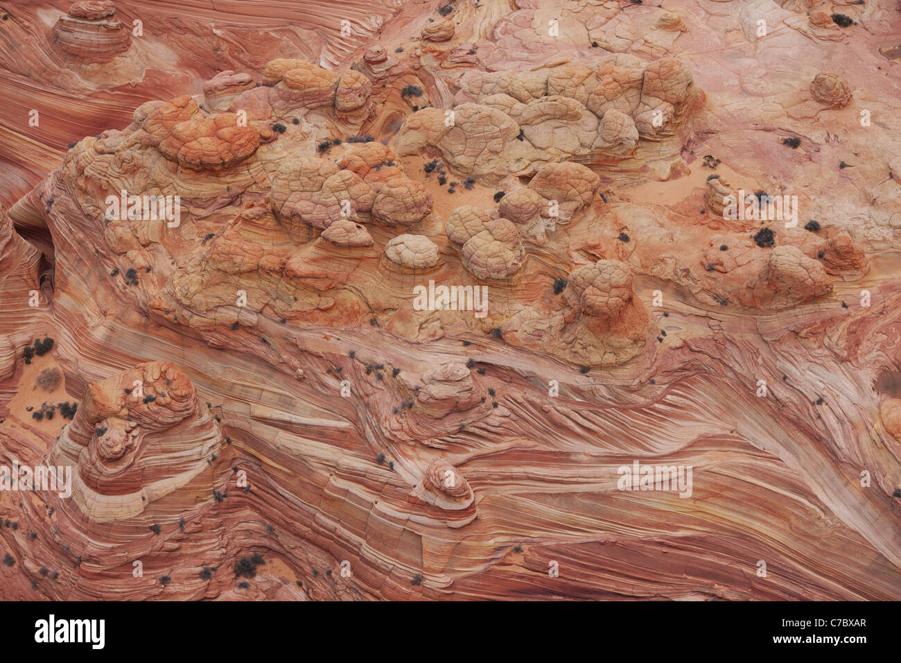 LUFTAUFNAHME. Malerische, rötliche Sandsteinbildung aus Schichten und Hügeln. Vermilion Cliffs National Monument, Coconino County, Arizona, USA. Stockfoto