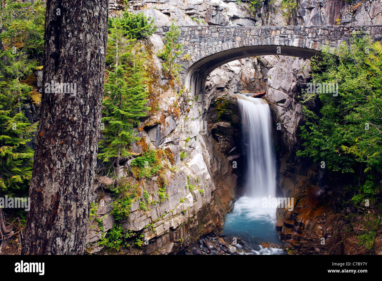 Brücke über Christine fällt, Van Trump Creek, Mount Rainier Nationalpark, Washington, USA Stockfoto