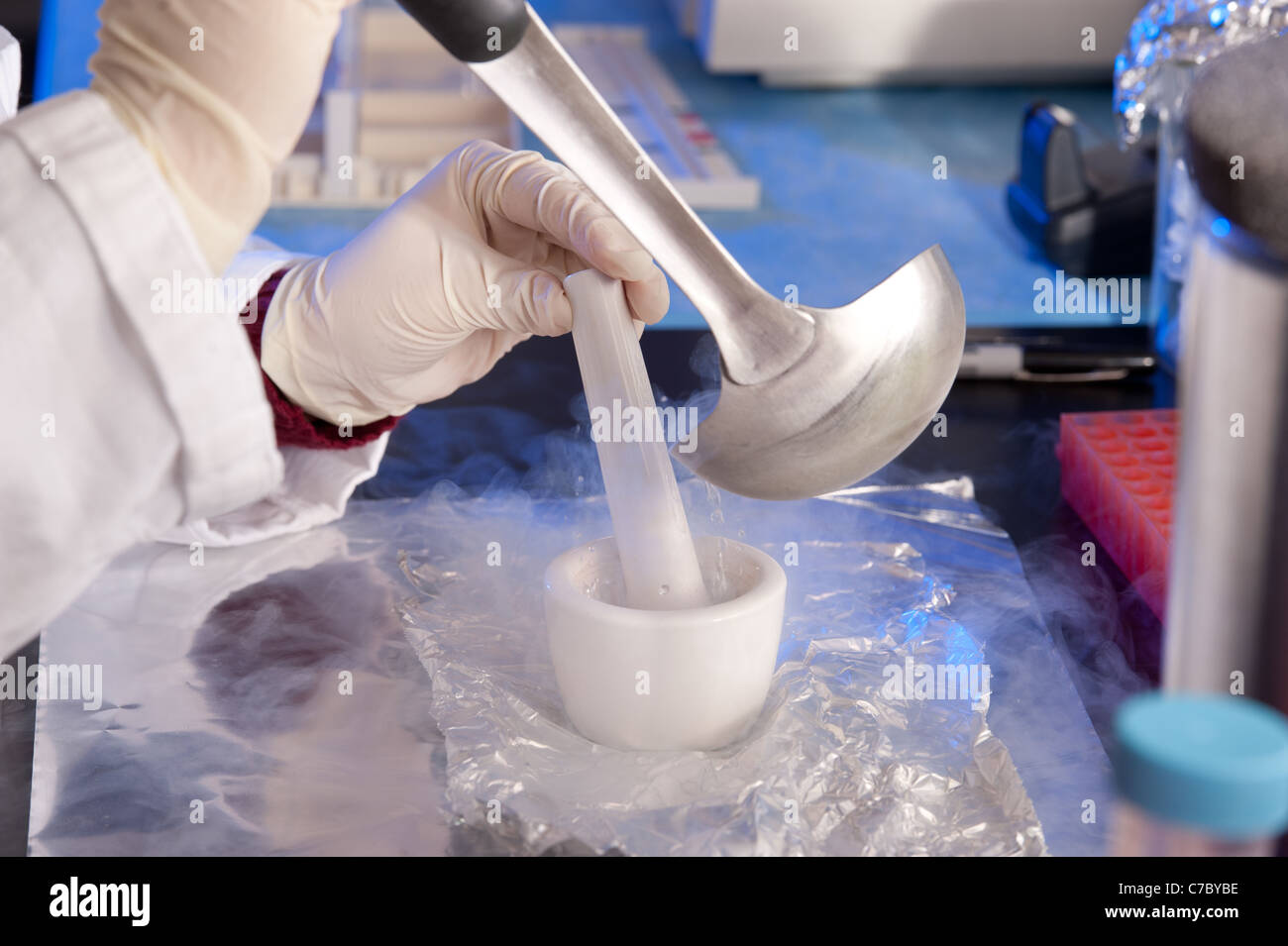 Wissenschaftler, die Durchführung von Experiment im Labor Stockfoto