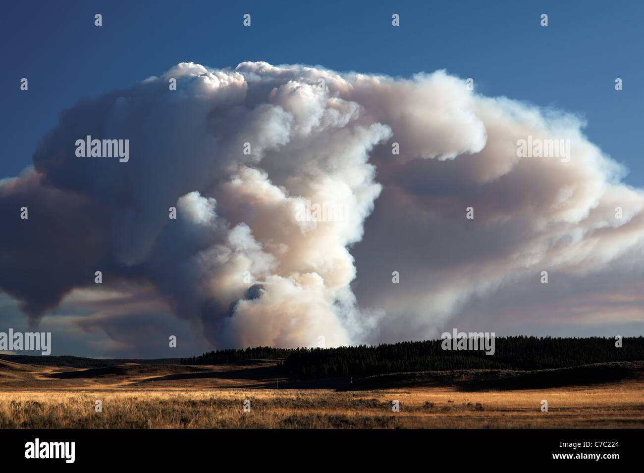 Rauch und Flammen des Waldes Feuer brennt auf Mittelland bei Sonnenuntergang von Hayden Valley, Yellowstone National Park aus gesehen Stockfoto