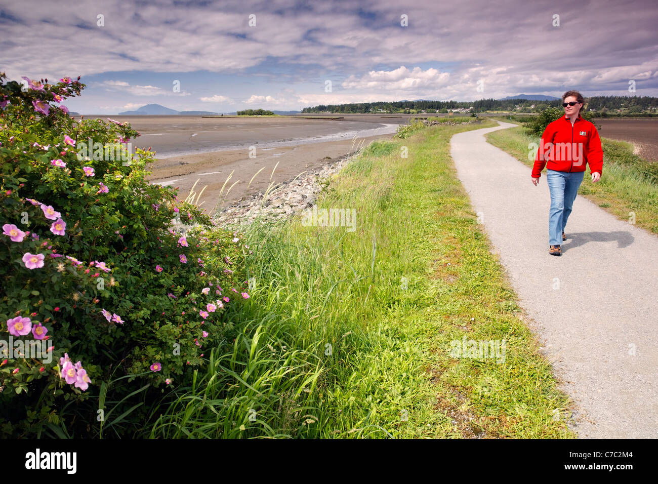 Frau zu Fuß am Deich Trail, Peters Bay Estuarine Research Nationalreservat, Skagit County, Washington, USA Stockfoto