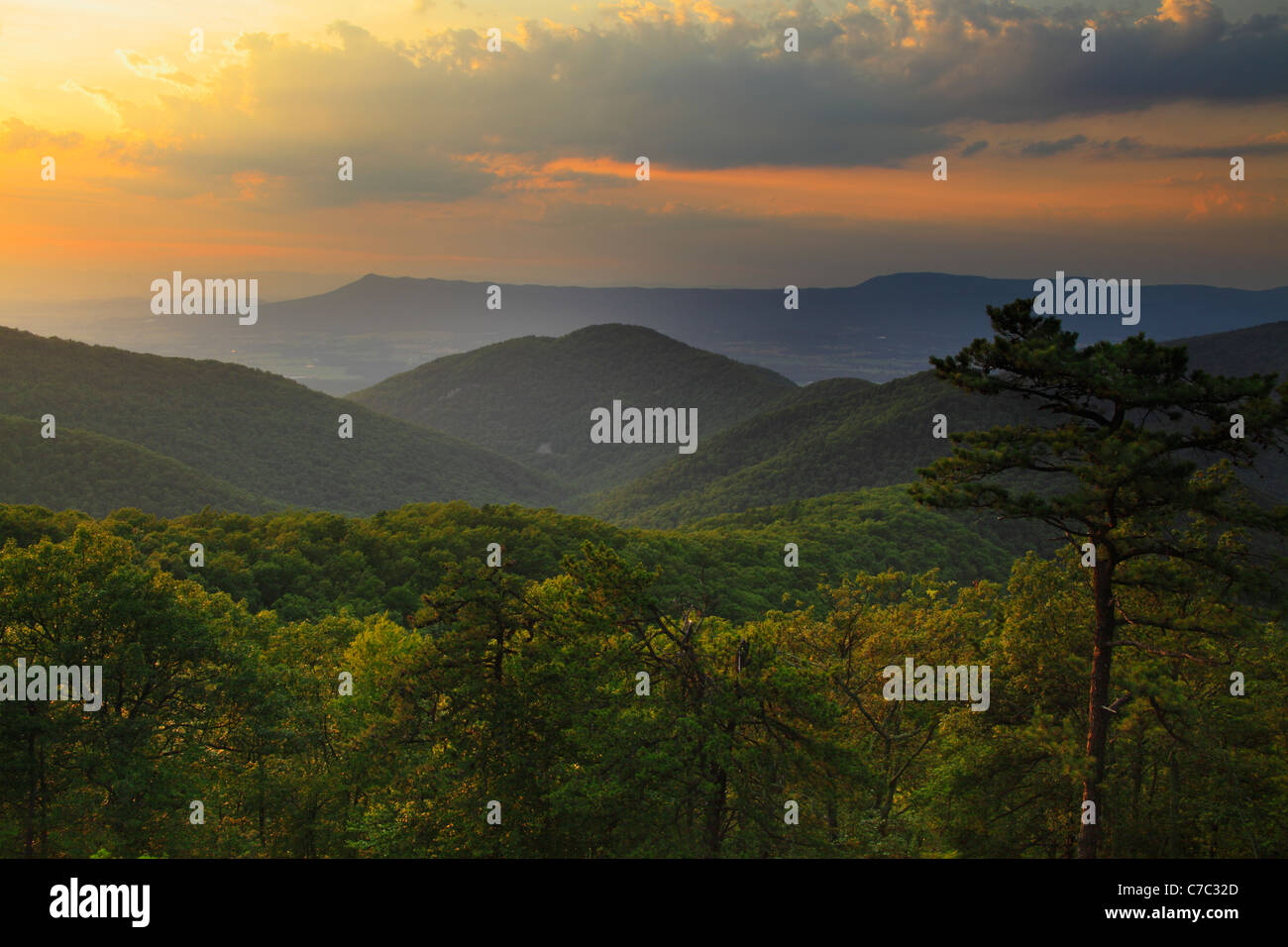 Zwei Meile laufen übersehen, Shenandoah-Nationalpark, Virginia, USA Stockfoto