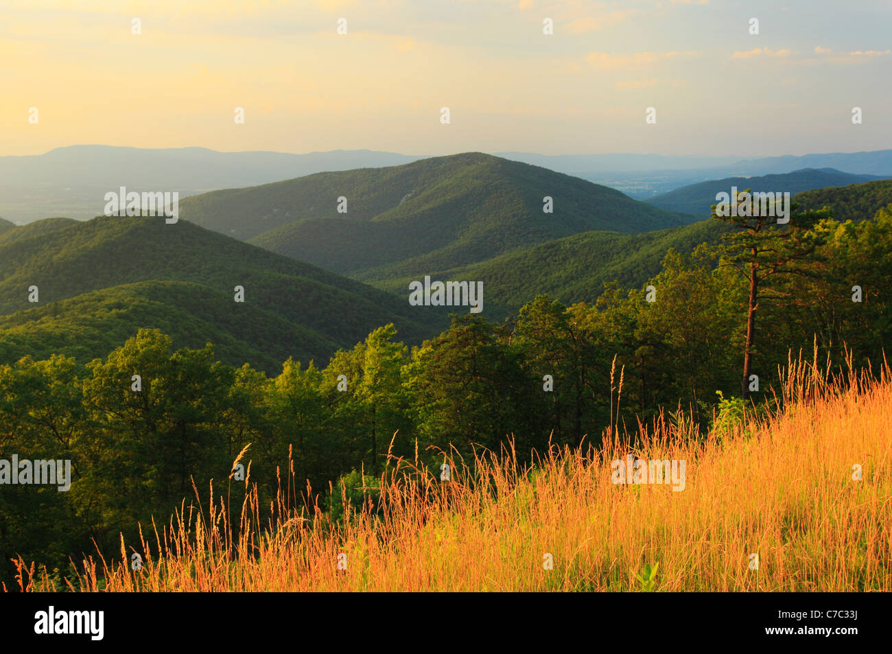 Zwei Meile laufen übersehen, Shenandoah-Nationalpark, Virginia, USA Stockfoto