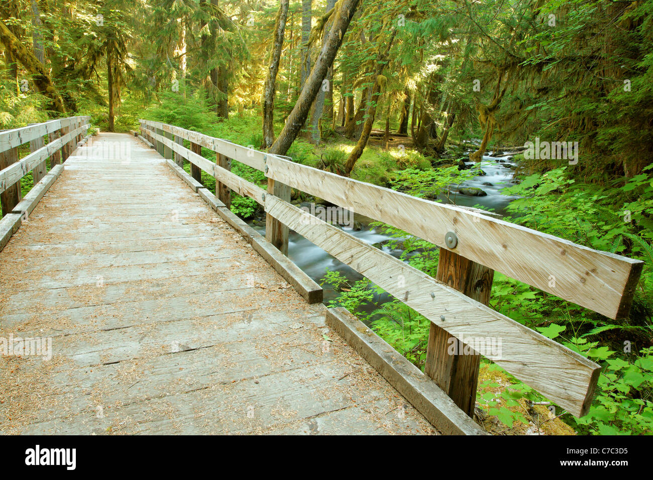 Brücke über Lillian Creek, Elwah Flusstal, Olympic Nationalpark, Washington Stockfoto