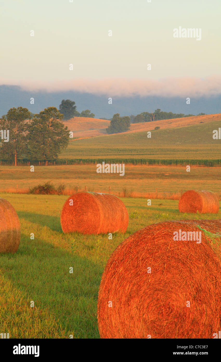 Heu-Ballen und Bauernhof, Swoope, Shenandoah Valley, Virginia, USA Stockfoto