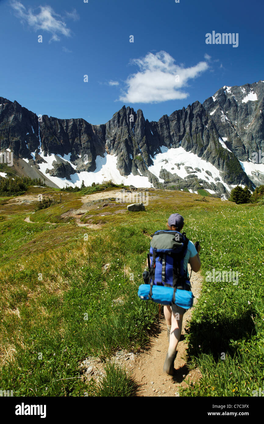 Frau Wandern durch Almwiese, North Cascades National Park, Washington State, USA Stockfoto