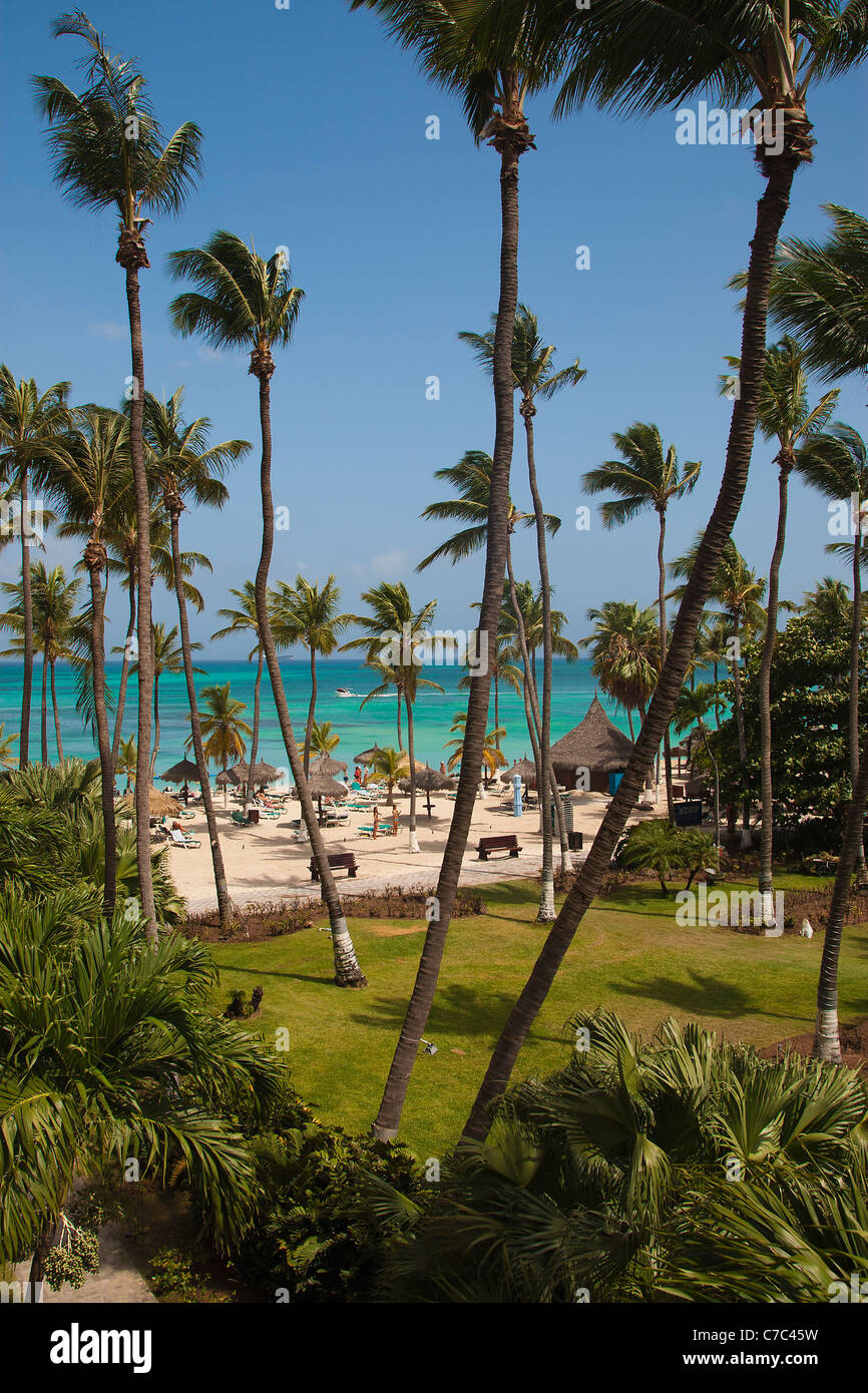 Erhöhten Blick auf Palm Beach, Aruba, Niederländische Karibik, weißen Sandstrand, Sonne Badegäste, zeigt klar, türkisfarbenes Meer und Palmen Bäume Stockfoto