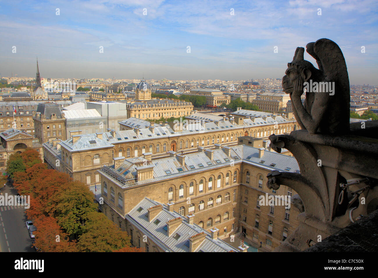 Wasserspeier mit Blick auf die Stadt von Paris aus die hohen Türme der Kathedrale Notre Dame, Paris, Frankreich Stockfoto