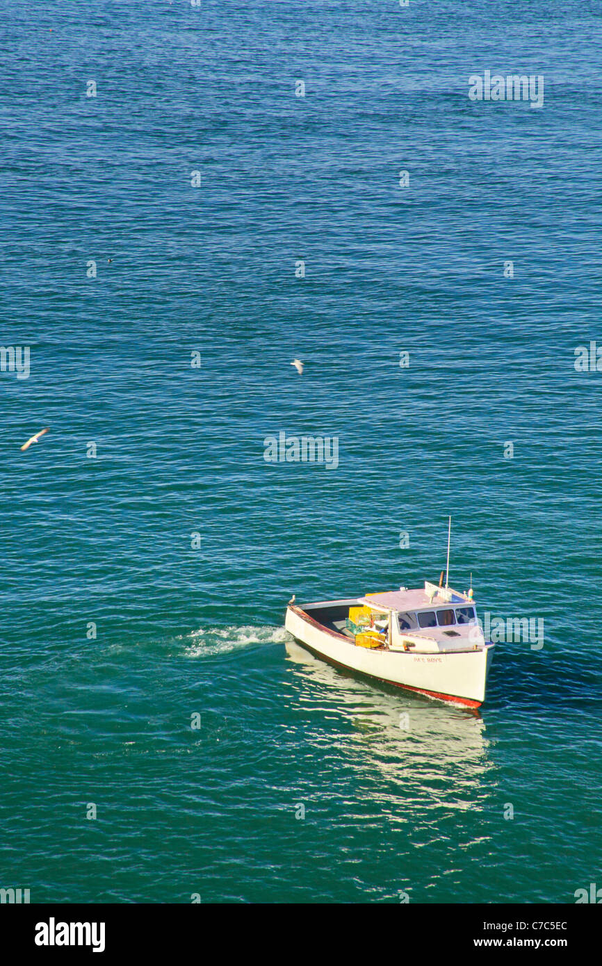 Cutler Küstenpfad, mutige Küste bewahren, Cutler, Maine, USA Stockfoto