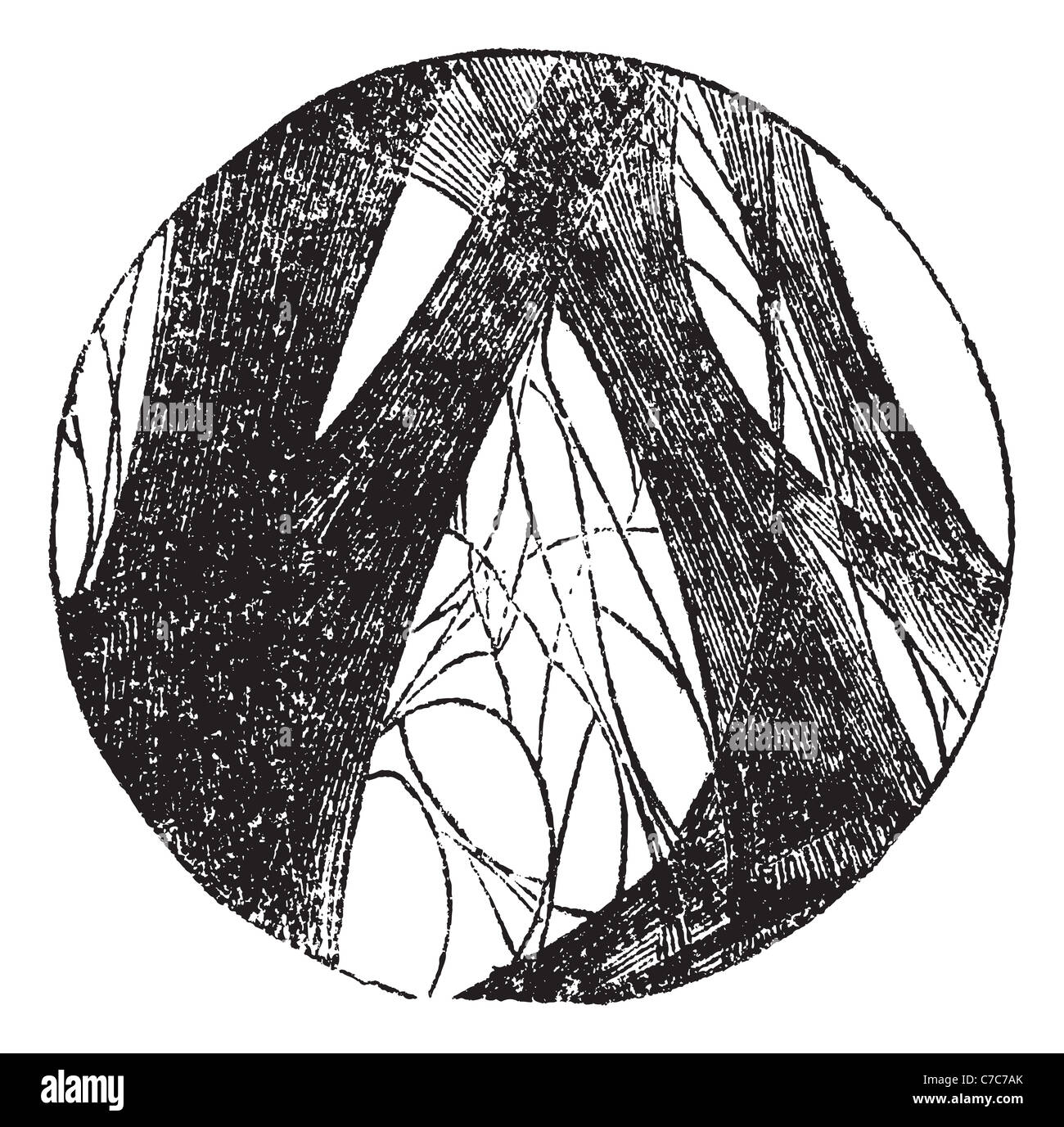 Geronnene Fibrin, Vintage-Gravur. Alten graviert Abbildung von Coagulated Fibrin. Stockfoto