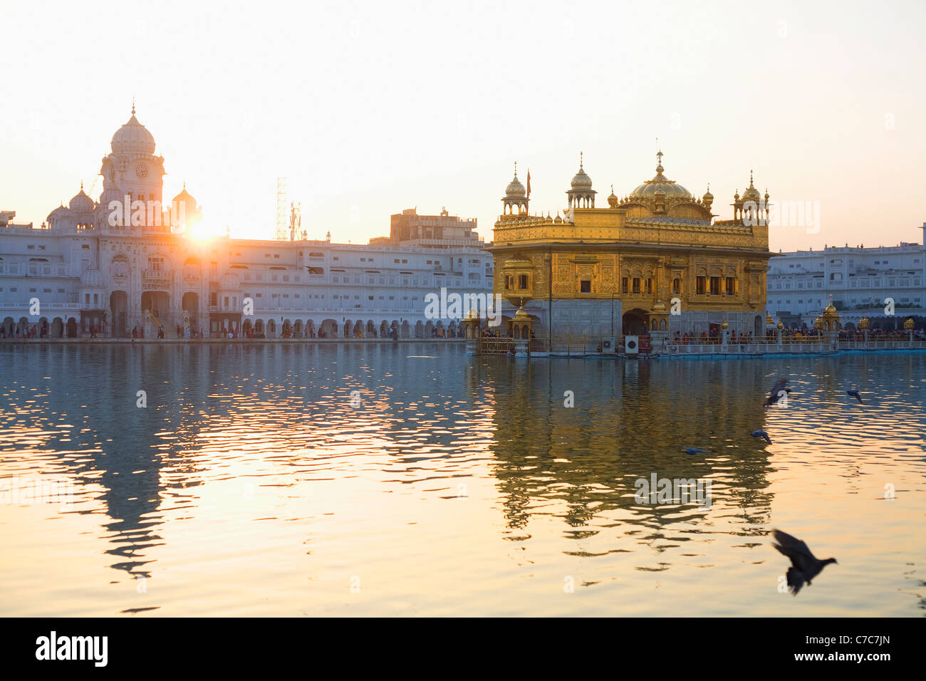 Sonnenaufgang auf der Sikh Golden Tempel in der Stadt von Amritsar, Indien in Punjab Zustand Stockfoto