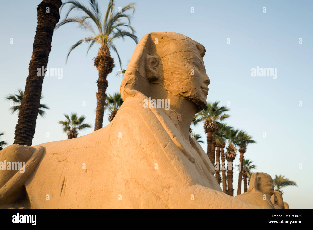 Allee der Sphinxe, Luxor-Tempel, Luxor, Ägypten Stockfoto