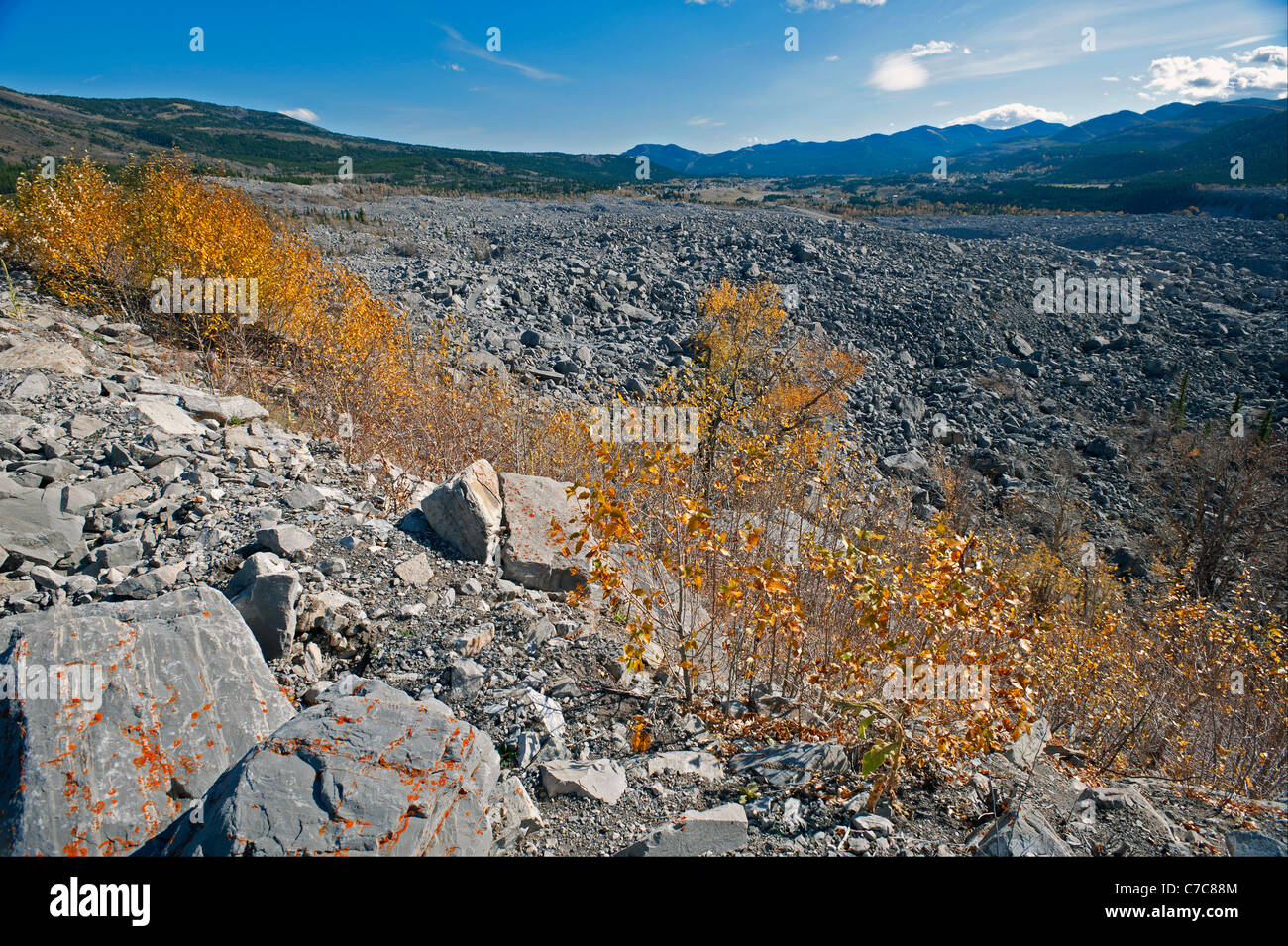 Feld von Steinen auf die 'Frank Slide' Disaster-Standort in Alberta, Kanada Stockfoto