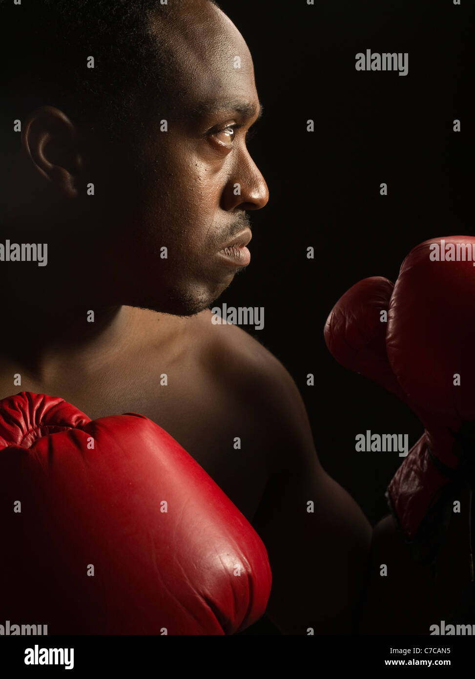 Porträt von Boxer mit Boxhandschuhen Stockfoto