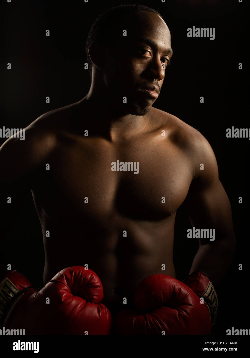 Porträt von Boxer mit Boxhandschuhen Stockfoto