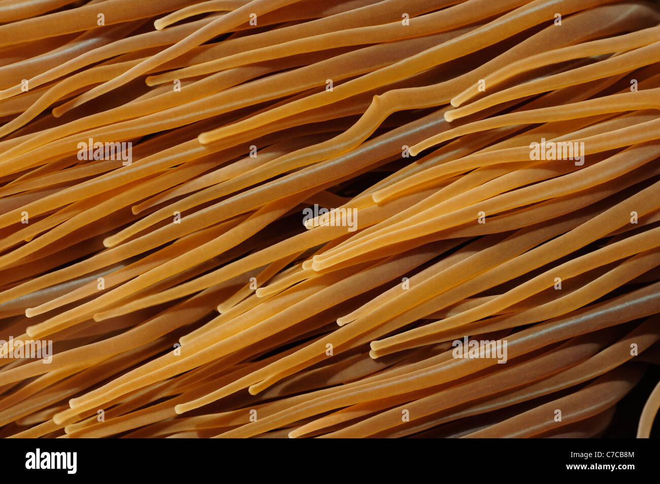 Snakelocks Anemone (Anemonia Viridis) Stockfoto