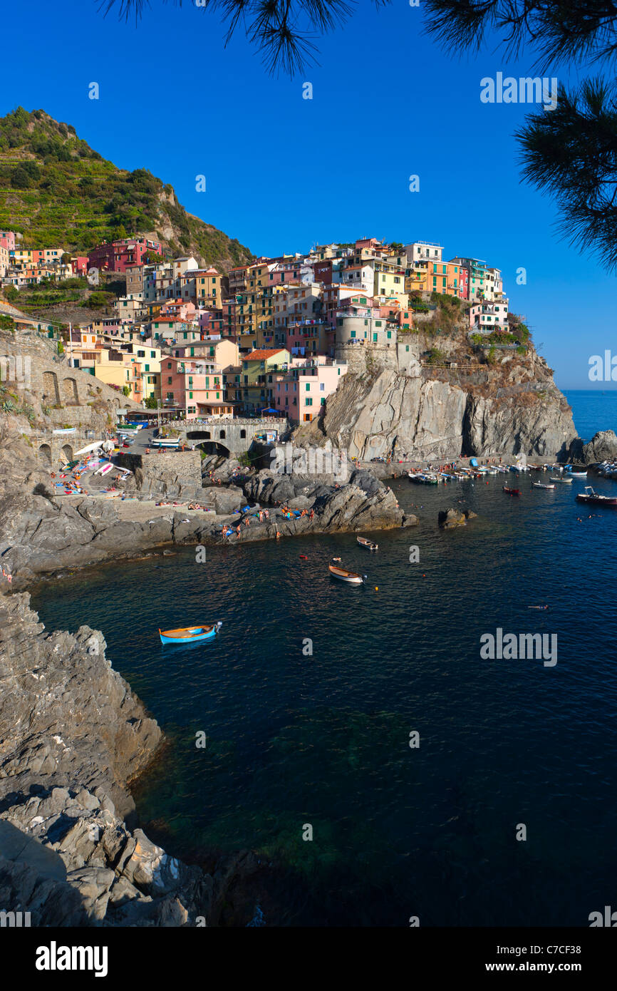 Manarola, Cinqueterre, UNESCO World Heritage Site, Ligurien, Italien, Europa Stockfoto