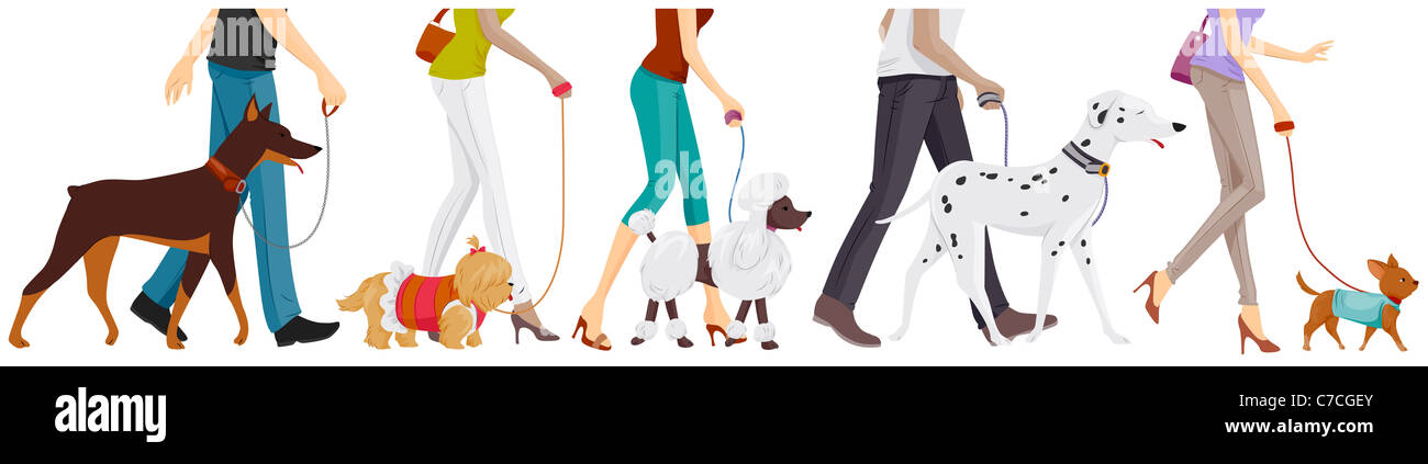 Unterkörper von Menschen, die ihre Hunde mit Clipping Path Stockfoto