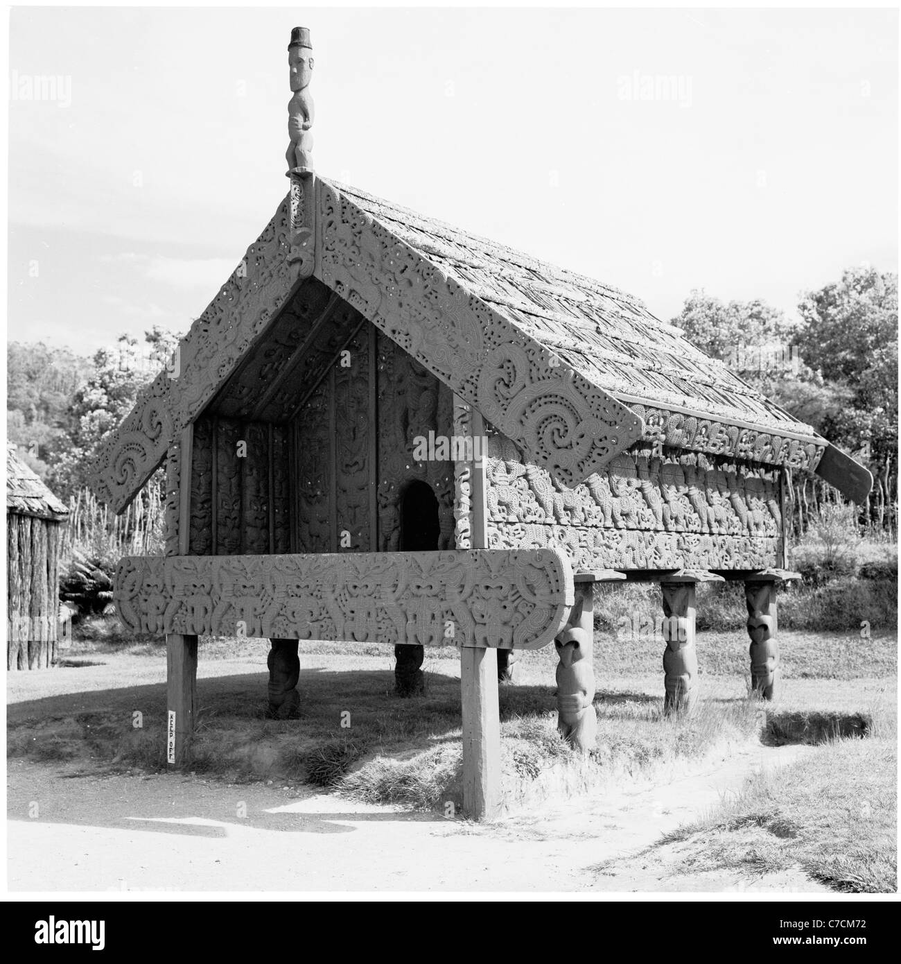 Neuseeland, 1950er Jahre. Historische Ansicht einer traditionellen Maori Hütte an einem Nationalpark bewahrt. Stockfoto