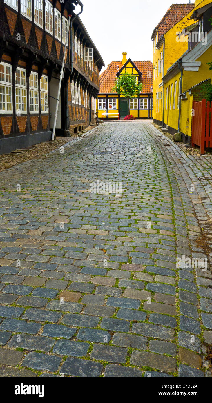 Eine gepflasterte Straße in der Altstadt von Ribe, Jütland, Dänemark Stockfoto