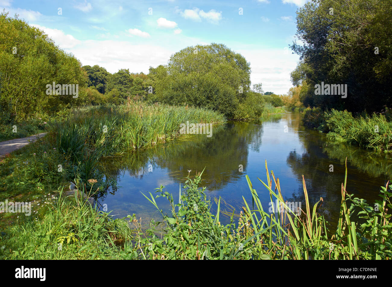 Winnal Mauren Naturschutzgebiet entlang der Flussaue der Fluss Itchen im Nord-Osten von Winchester, Hampshire, England Stockfoto