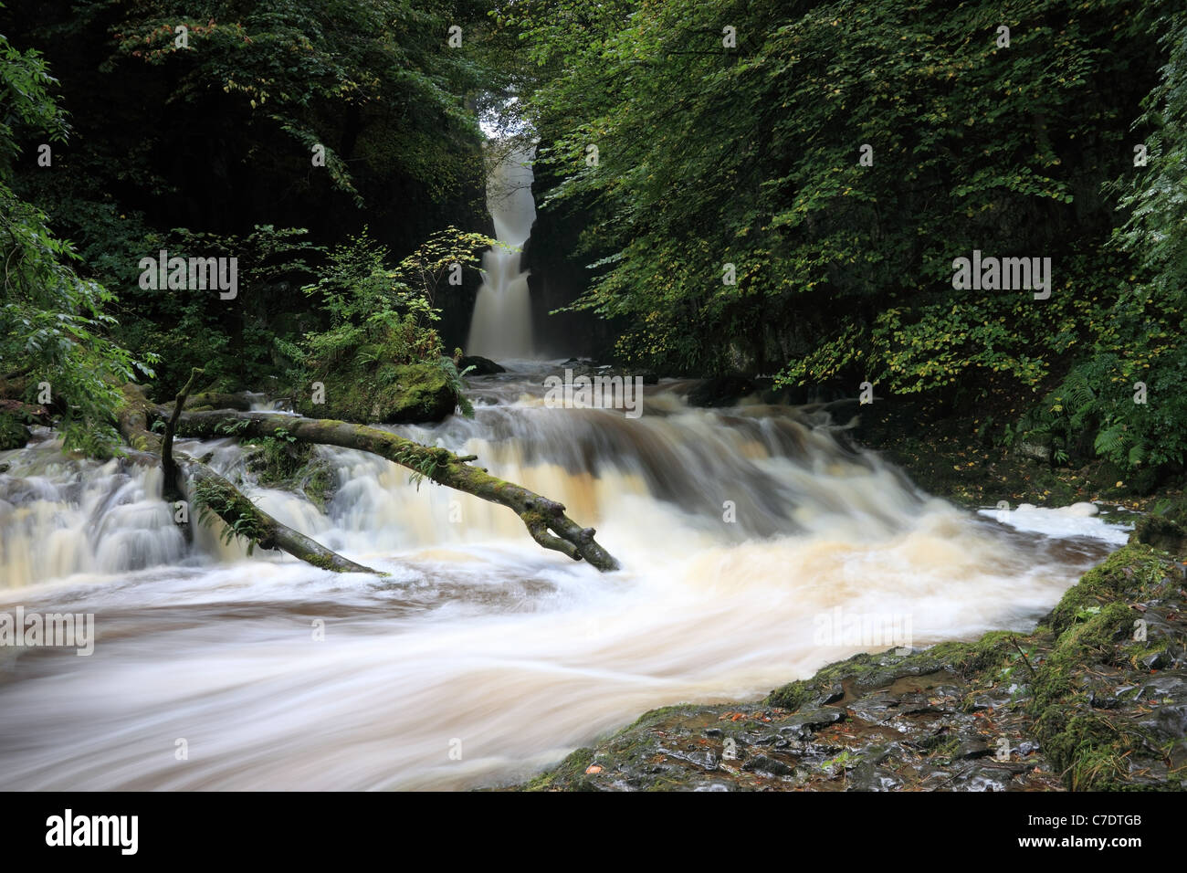 Catrigg Force Wasserfall im frühen Herbst Stainforth Ribblesdale Yorkshire Dales UK Stockfoto