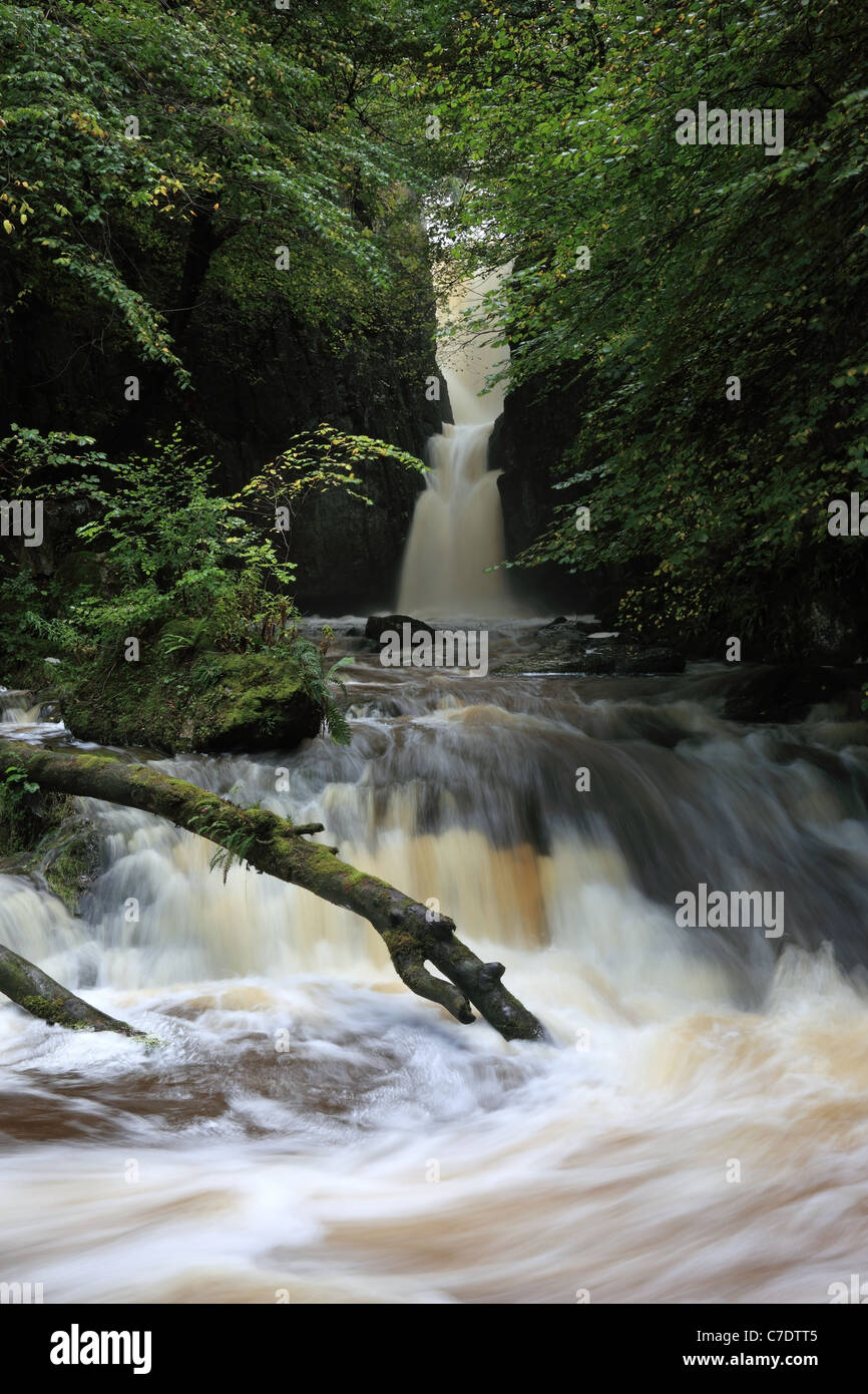 Catrigg Force Wasserfall im frühen Herbst Stainforth Ribblesdale Yorkshire Dales UK Stockfoto