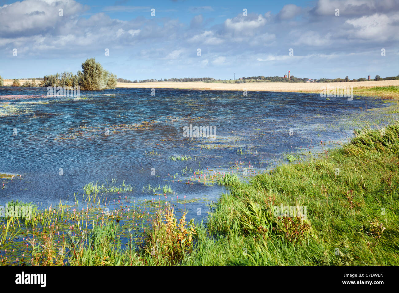 Kap Arkona angesehen über Landschaft in der Nähe von Putgarten, Rügen, Mecklenburg-Vorpommern, Deutschland Stockfoto