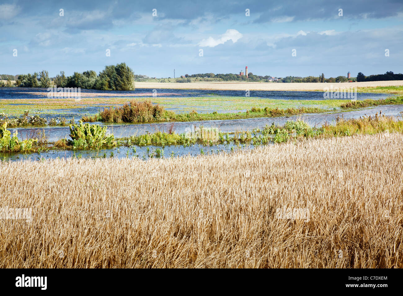 Kap Arkona angesehen über Landschaft in der Nähe von Putgarten, Rügen, Mecklenburg-Vorpommern, Deutschland Stockfoto