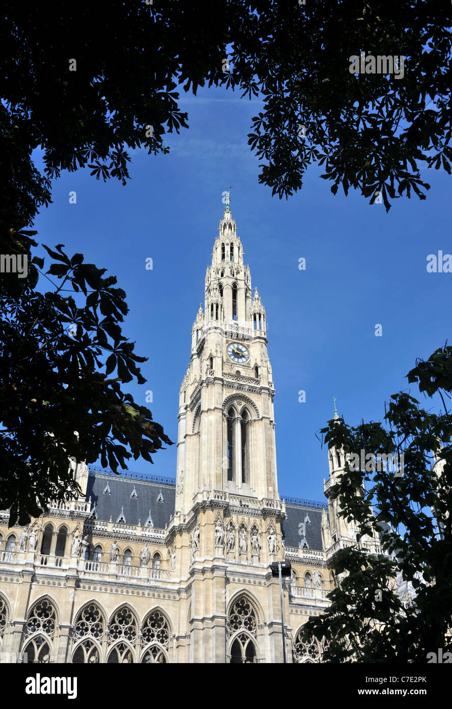 Die City Hall oder Rathaus Wien, Österreich Stockfoto