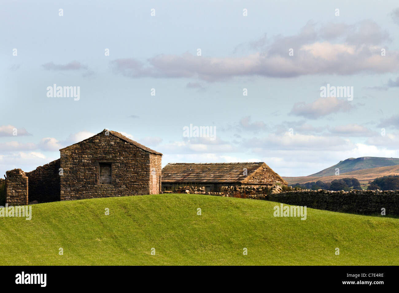 Stein auf dem Bauernhof Gebäude oder Scheunen außerhalb Hawes, Wensledale, Richmondshire, UK Stockfoto