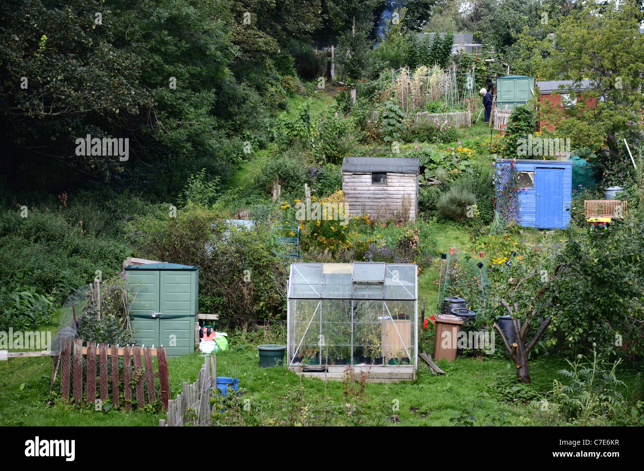 Kleingärten in Edinburgh Stockfoto