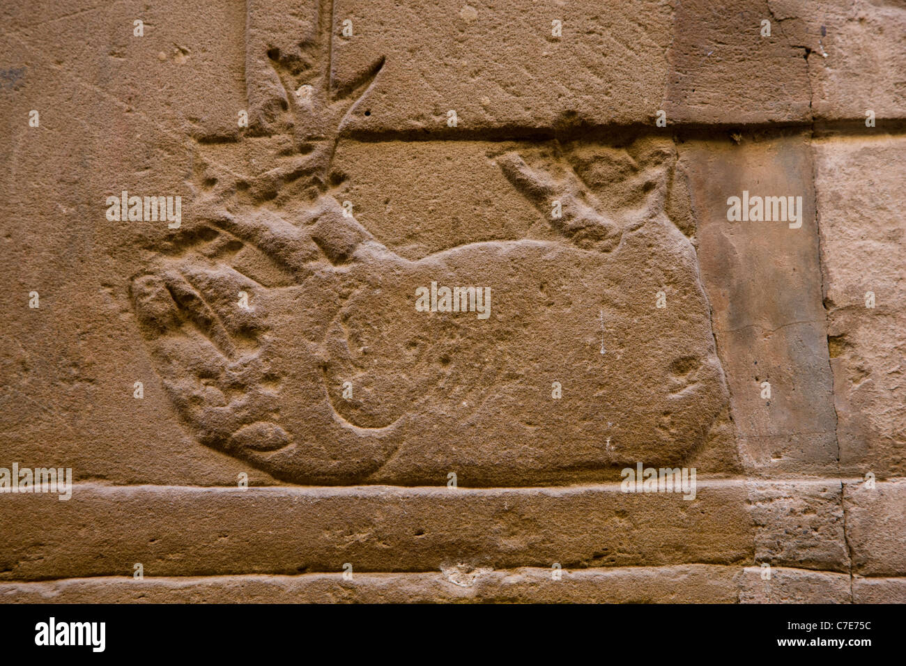 Satz, Feind des Horus, seines Todes dargestellt in Hieroglyphen in Edfu Tempel Stockfoto