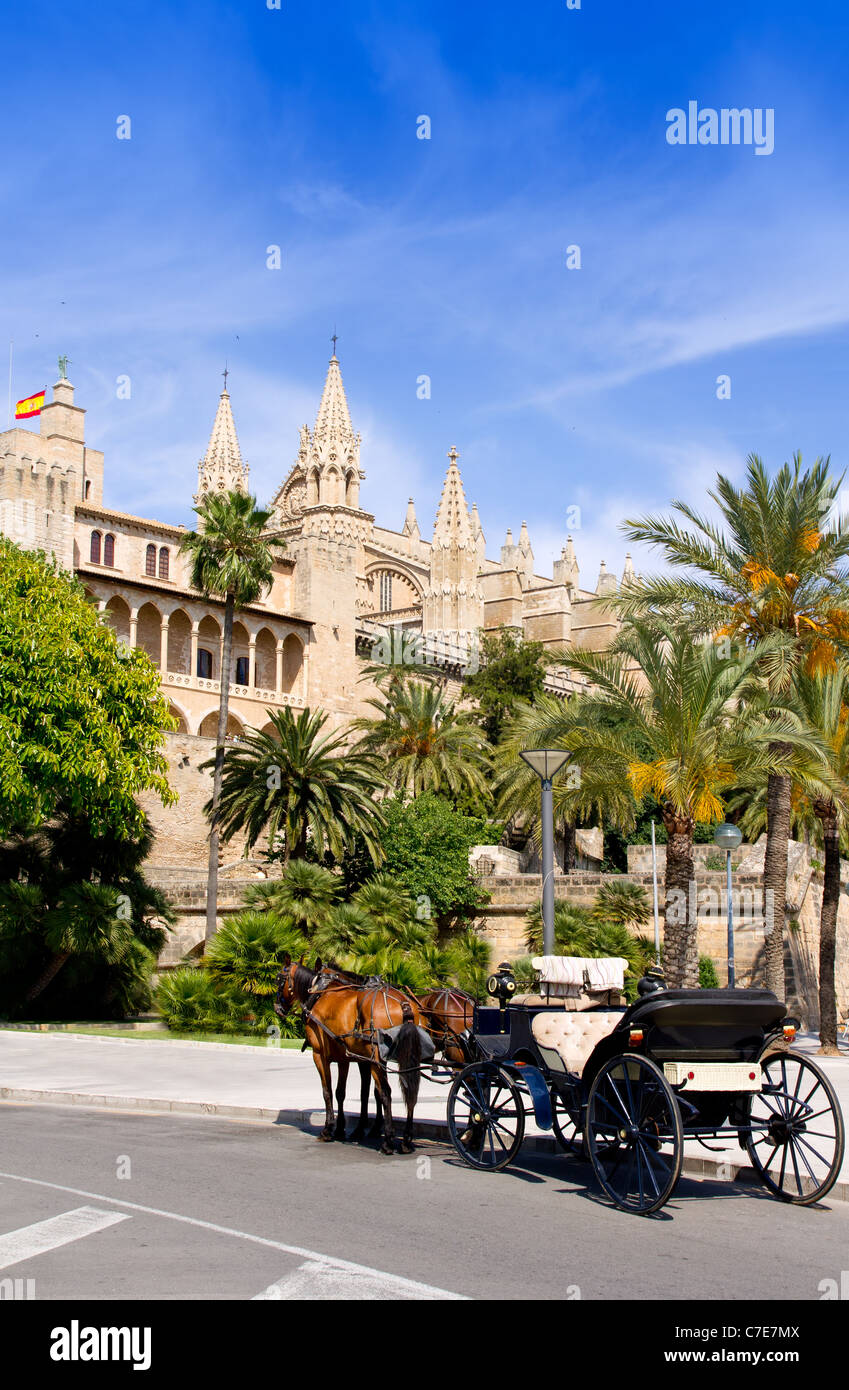 Kutsche mit Pferden in der Kathedrale von Palma De Mallorca mit Palmen Stockfoto