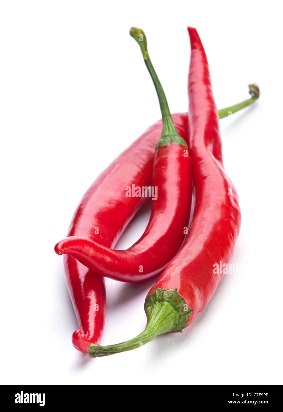 Chili-Paprika-Gemüse auf weißem Hintergrund Stockfoto