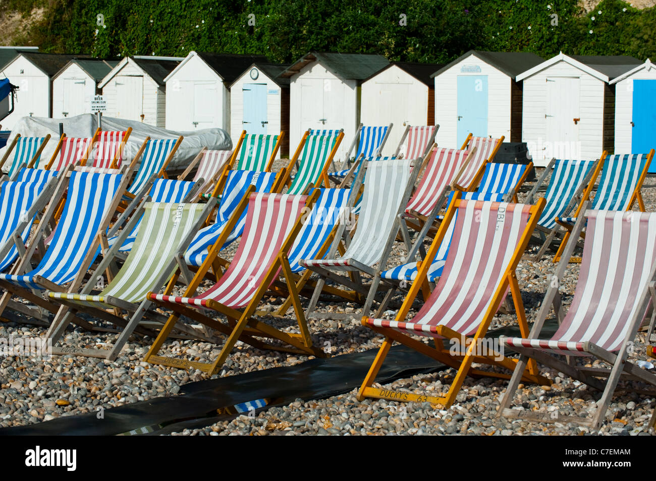 Liegestühle am Strand von Bier Devon England Stockfoto