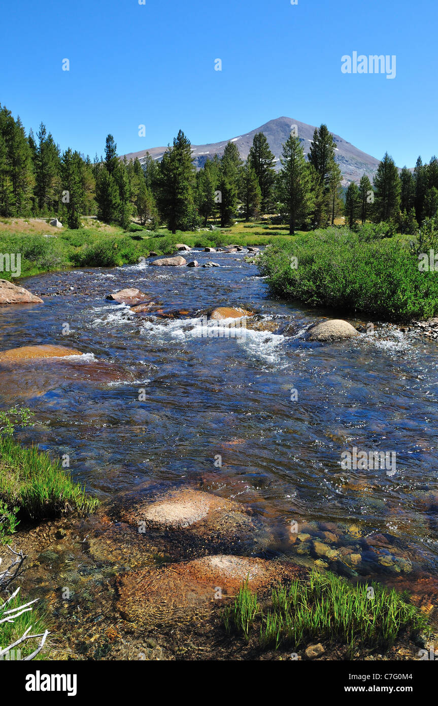 Gebirgsbach in der Nähe von Tioga Pass. Yosemite Nationalpark, Kalifornien, USA. Stockfoto