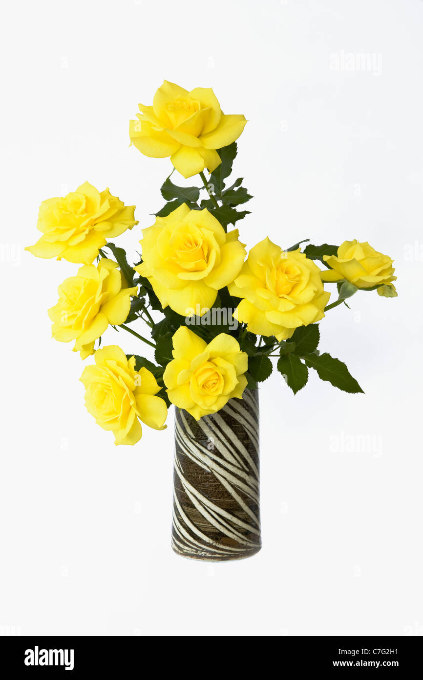 Gelbe Freesie Rosen in Keramik Vase auf weiß Stockfoto