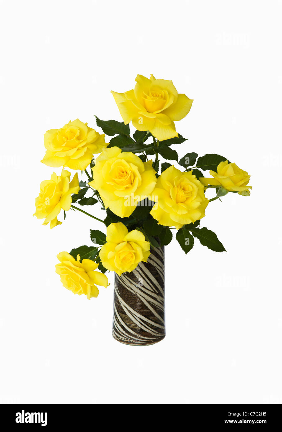 Gelbe Freesie Rosen in Keramik Vase auf weiß Stockfoto